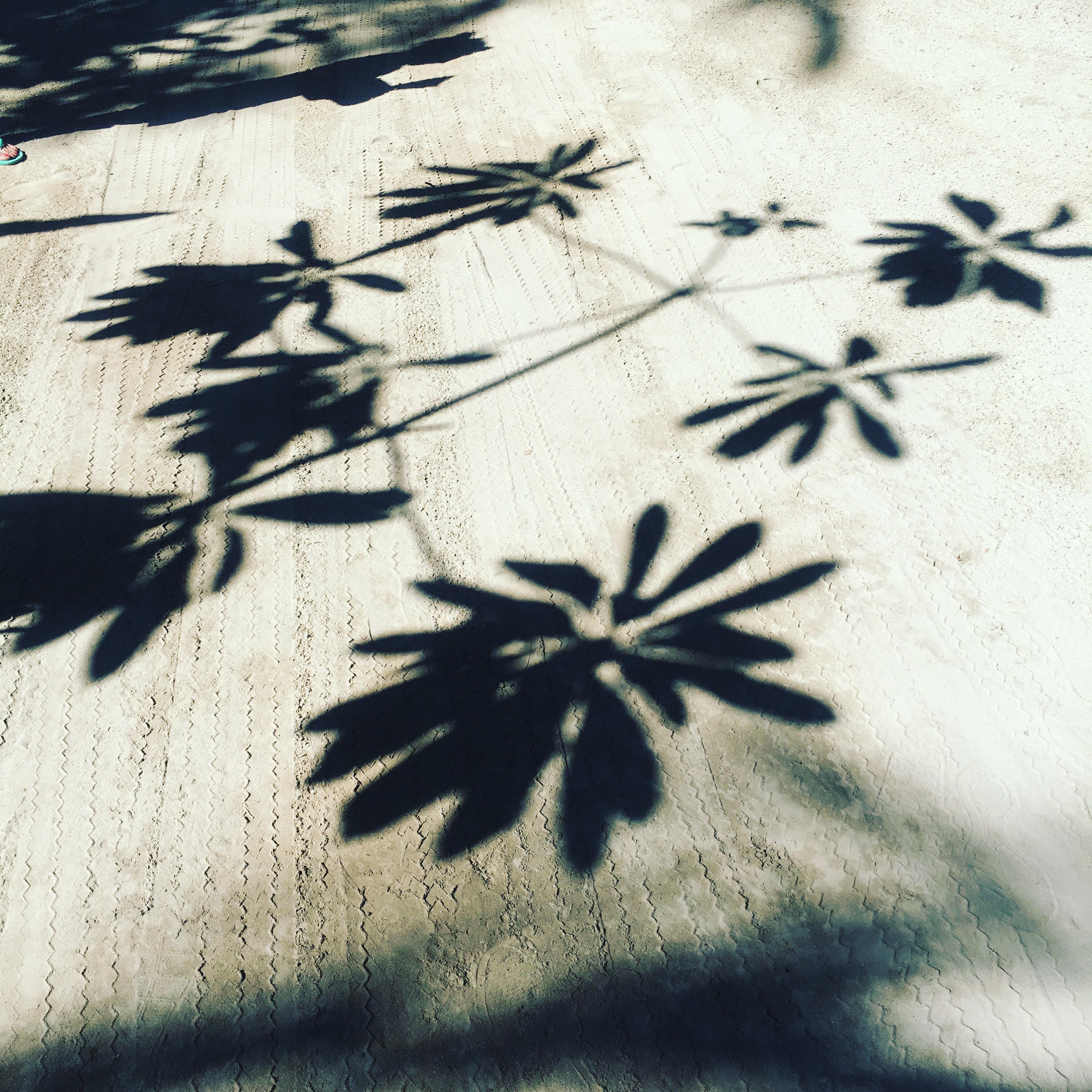 社員研修旅行のお知らせ。