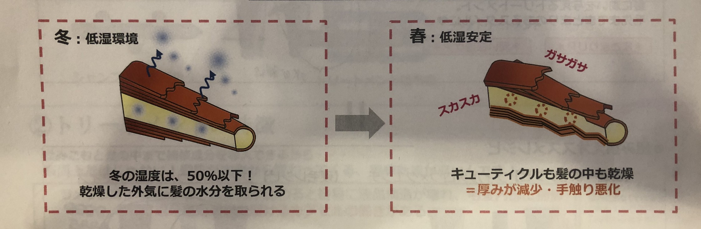 春の乾燥について！